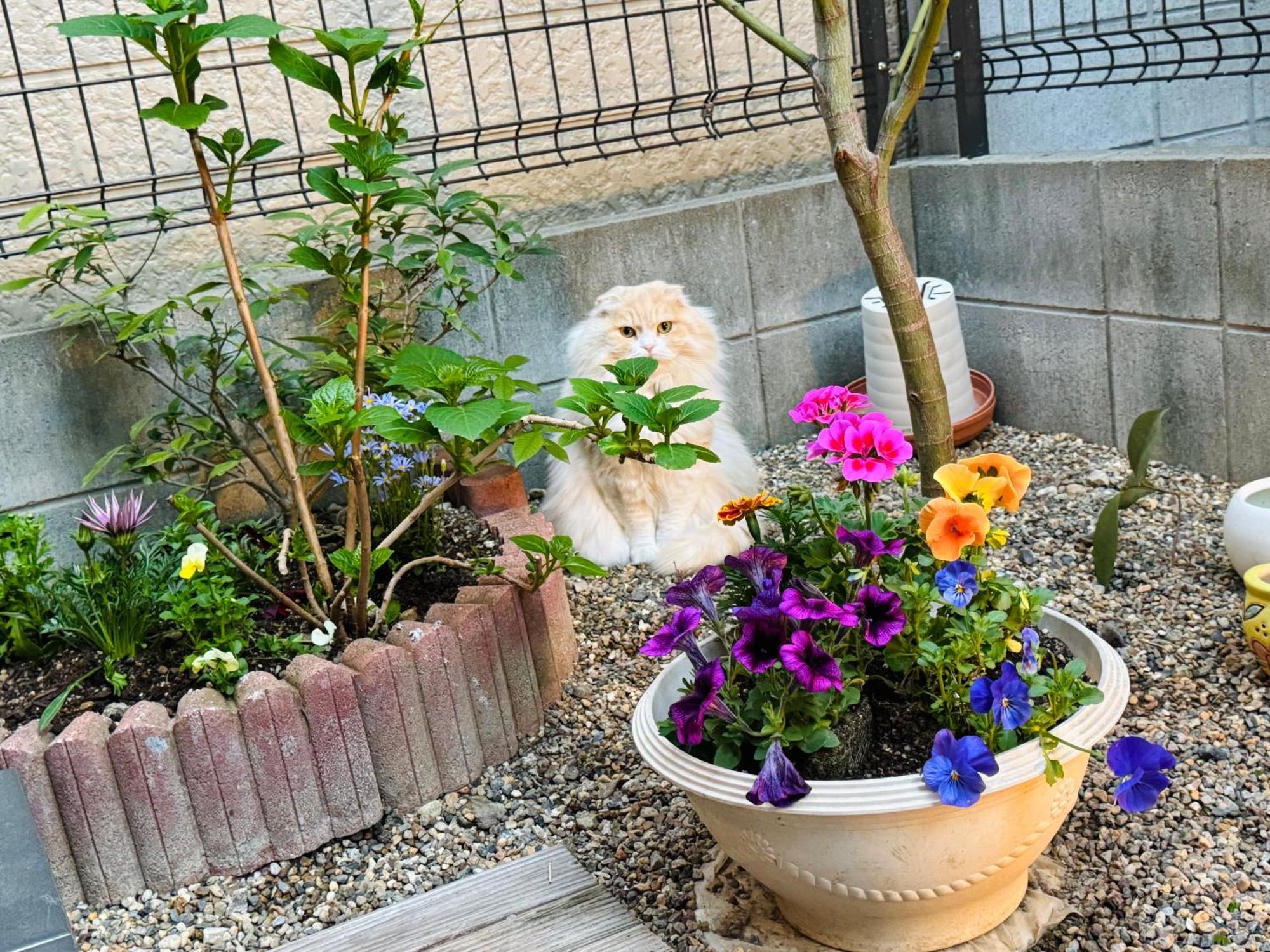 遥華-Haruka House Hotel Kyoto Exterior photo